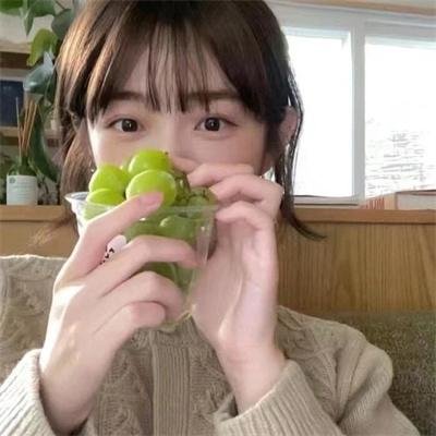 春光绿柳营